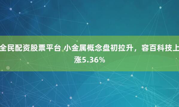 全民配资股票平台 小金属概念盘初拉升，容百科技上涨5.36%
